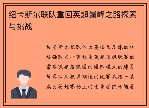 纽卡斯尔联队重回英超巅峰之路探索与挑战